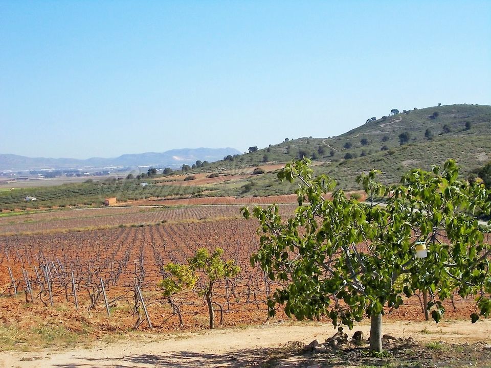 Farm hus i Yecla, Murcia - foto 2